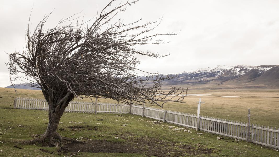 Imagen del monumento Cementerio de Cerro Castillo
