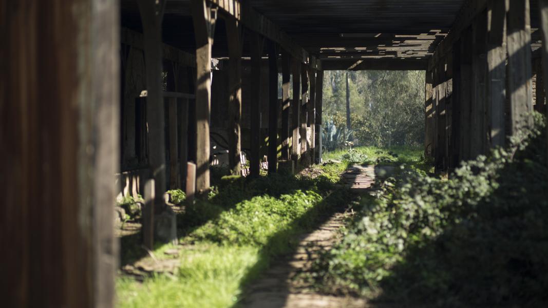 Imagen del monumento Casas patronales de la hacienda Santa Rosa de Colmo