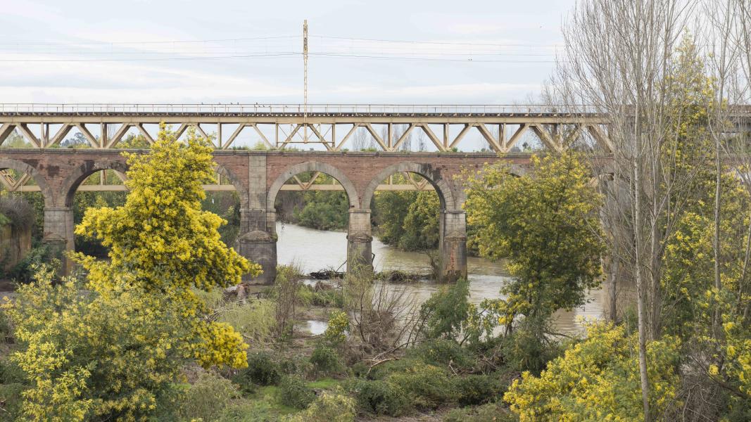 Imagen del monumento Puente sobre el río Pangue
