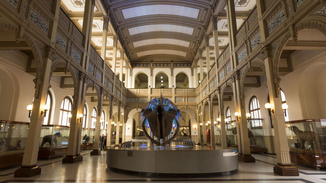 Imagen del monumento Edificio del Museo Nacional de Historia Natural