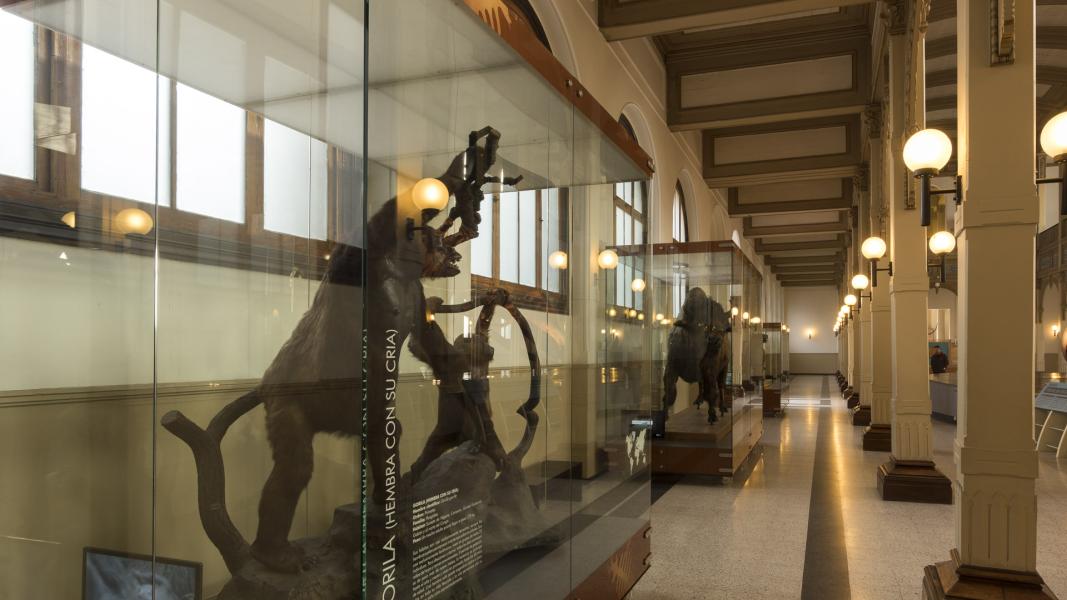 Imagen del monumento Edificio del Museo Nacional de Historia Natural