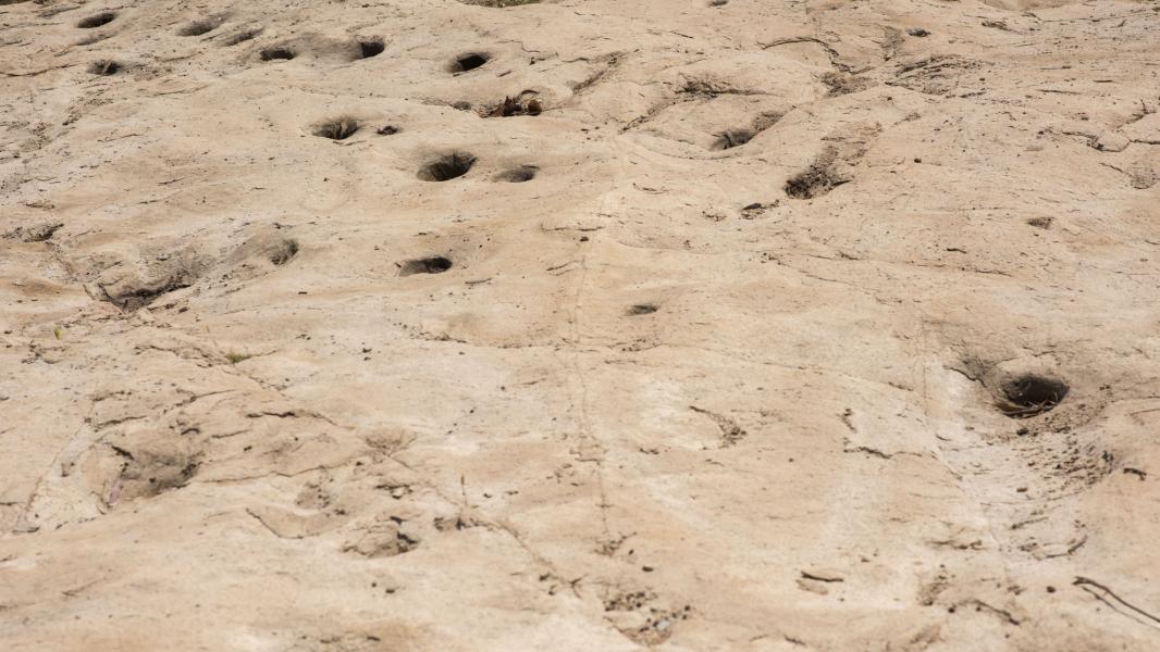 Imagen del monumento Plazoleta de piedras tacitas