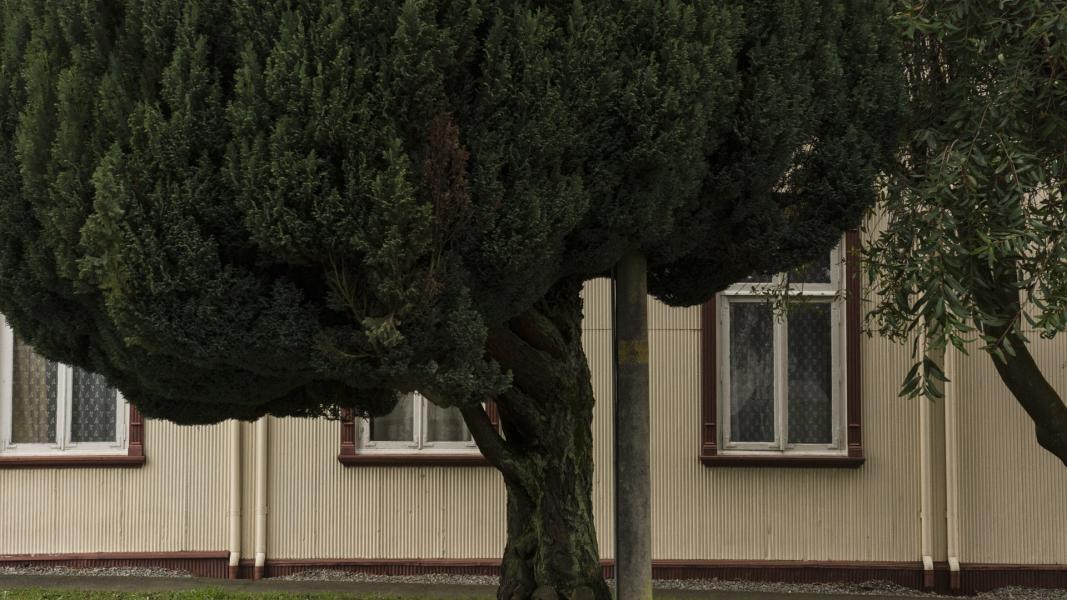 Imagen del monumento Casona Alemana