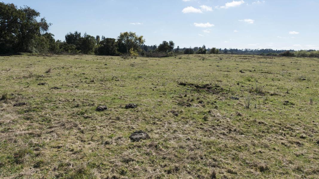 Imagen del monumento Fuerte Nuestra Señora de las Nieves de Boroa