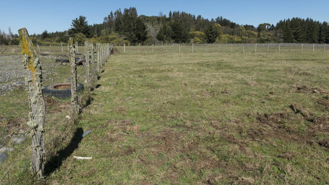 Imagen del monumento Fuerte Nuestra Señora de las Nieves de Boroa