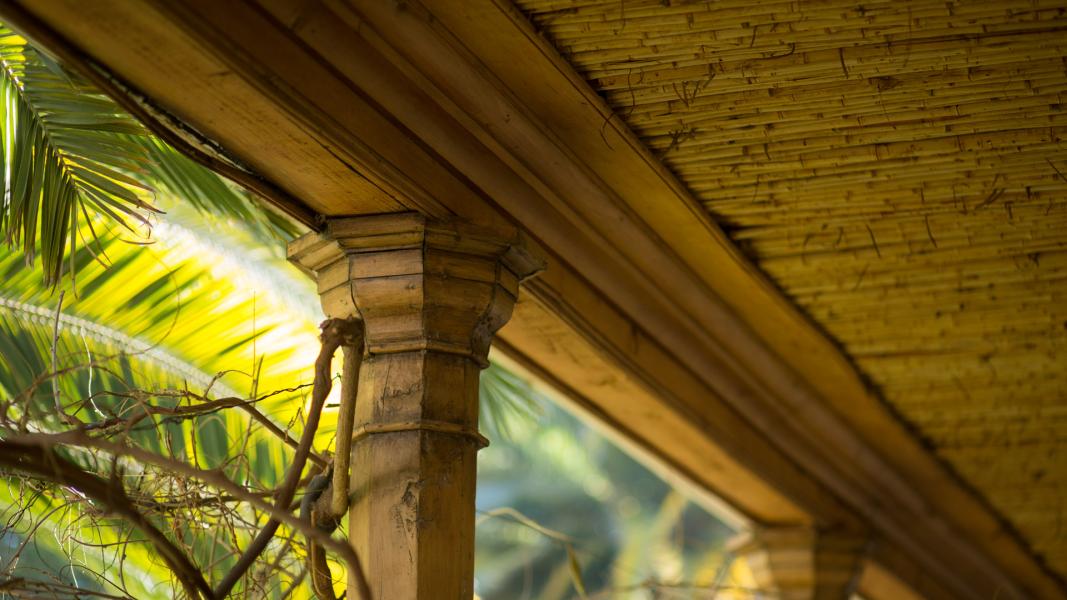 Imagen del monumento Instalaciones agrícolas y Parque de la ex hacienda San Vicente Ferrer