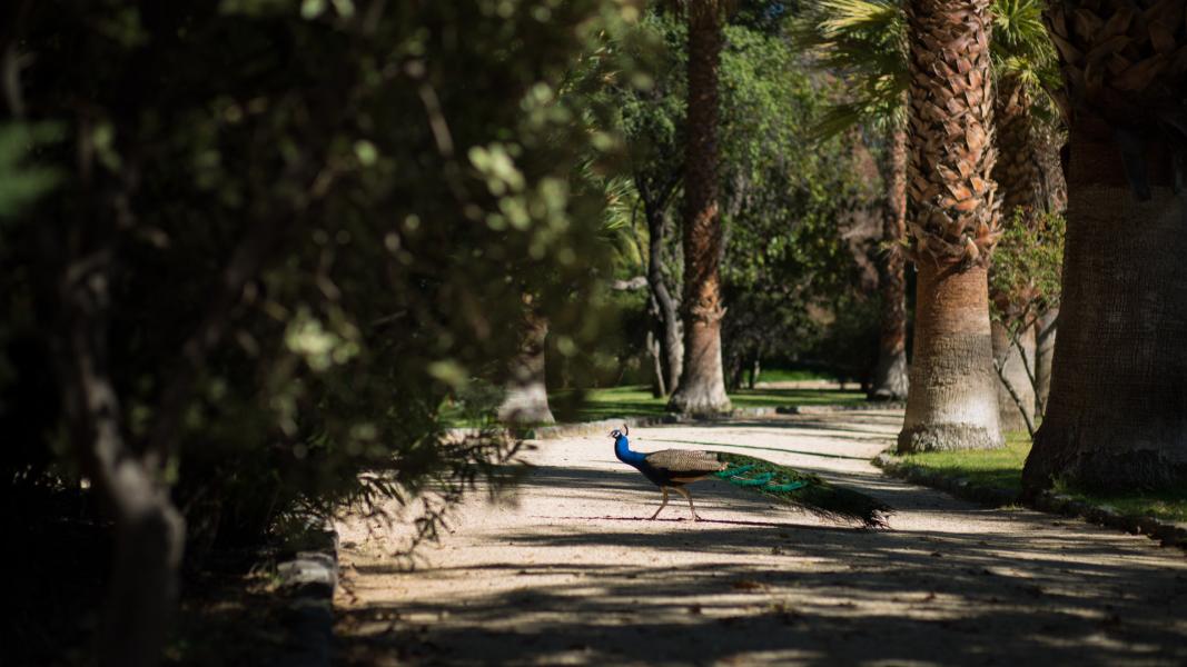 Imagen del monumento Instalaciones agrícolas y Parque de la ex hacienda San Vicente Ferrer