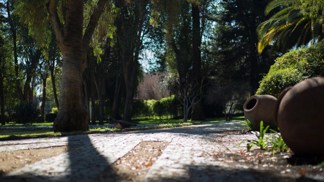 Imagen del monumento Instalaciones agrícolas y Parque de la ex hacienda San Vicente Ferrer