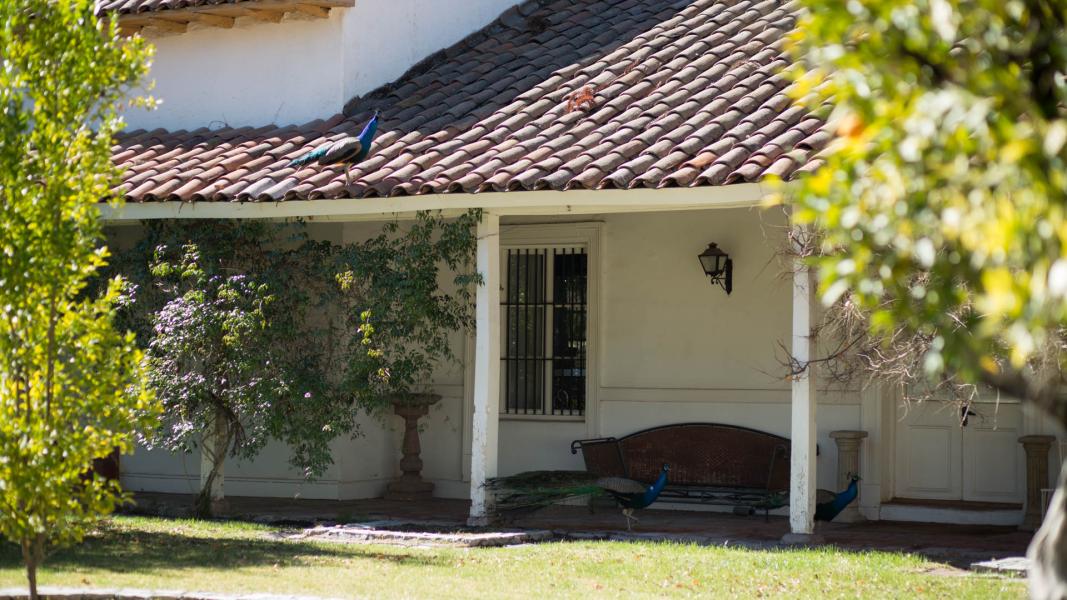 Imagen del monumento Instalaciones agrícolas y Parque de la ex hacienda San Vicente Ferrer