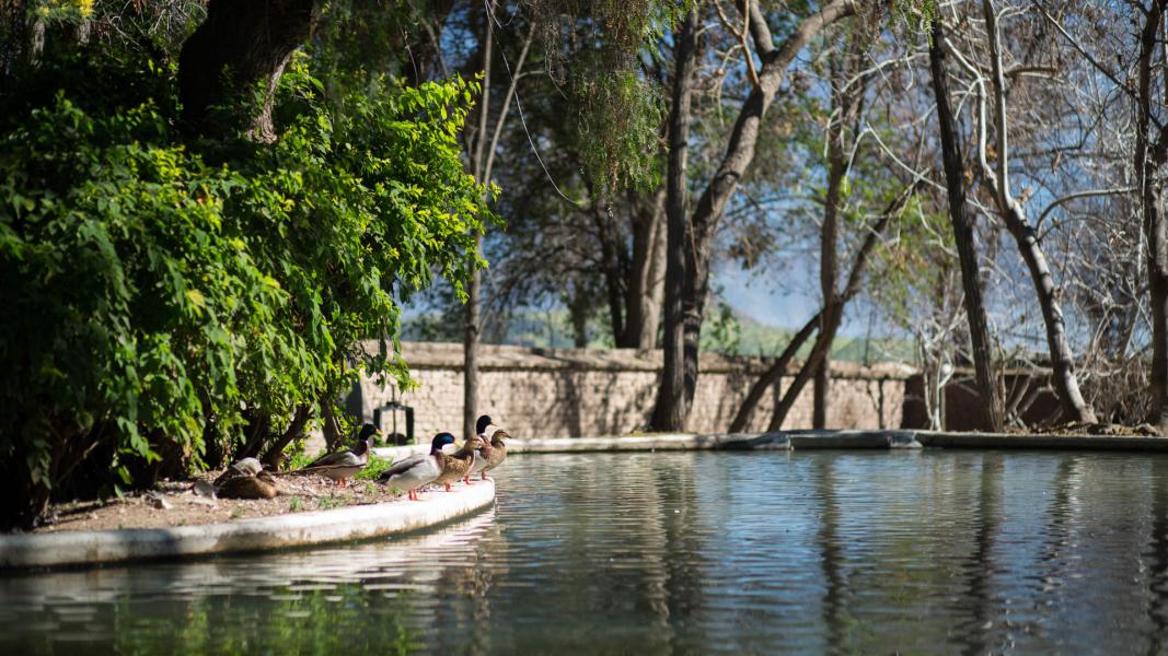 Imagen del monumento Instalaciones agrícolas y Parque de la ex hacienda San Vicente Ferrer