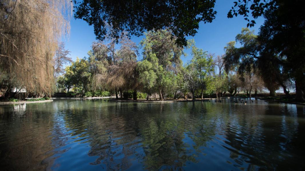 Imagen del monumento Instalaciones agrícolas y Parque de la ex hacienda San Vicente Ferrer