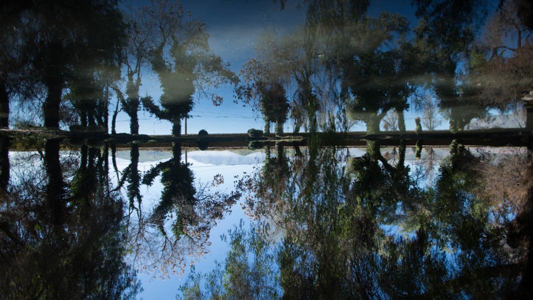 Imagen del monumento Instalaciones agrícolas y Parque de la ex hacienda San Vicente Ferrer
