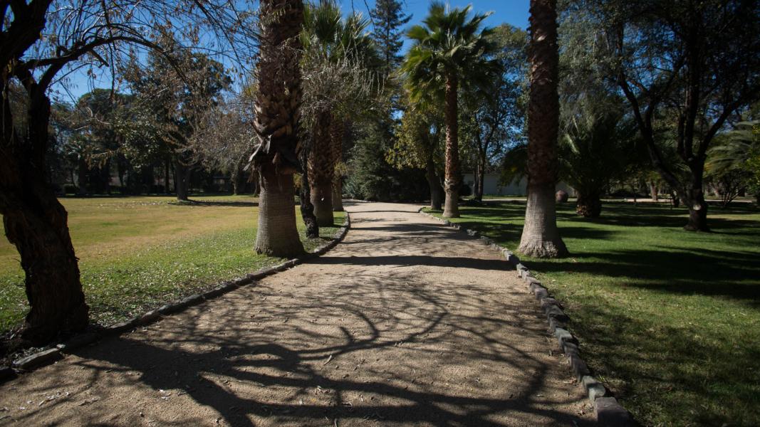 Imagen del monumento Instalaciones agrícolas y Parque de la ex hacienda San Vicente Ferrer
