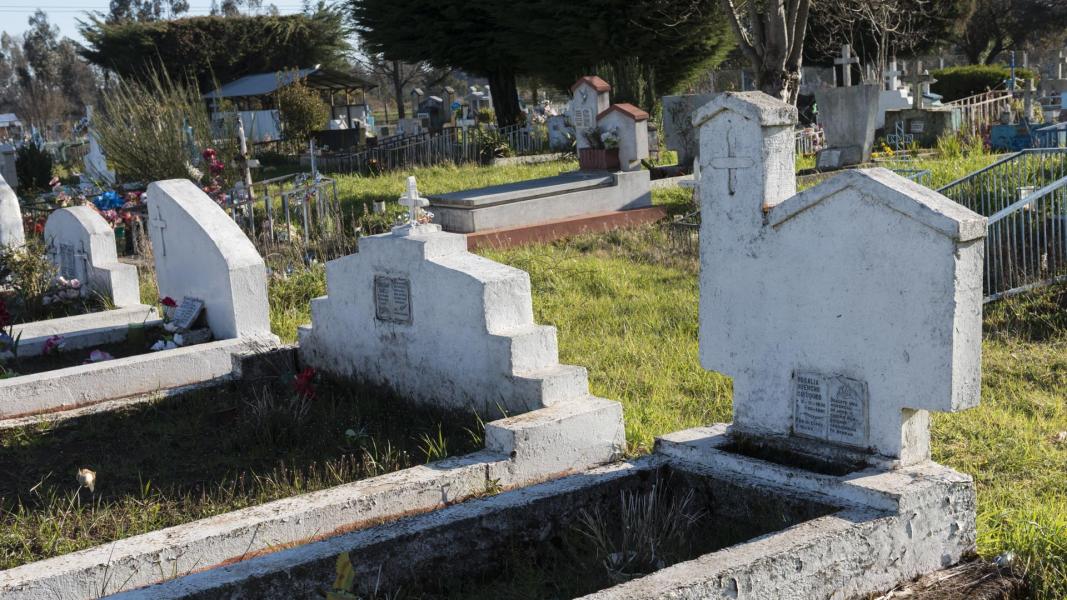 Imagen del monumento Nguillatuwe, menoko y cementerio del complejo ceremonial y religioso mapuche de Monopaine