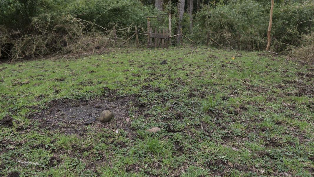 Imagen del monumento Complejo religioso y  ceremonial indígena mapuche de Nolgyehue ó Nolguehue, Eltuwe (cementerio) y Menoko