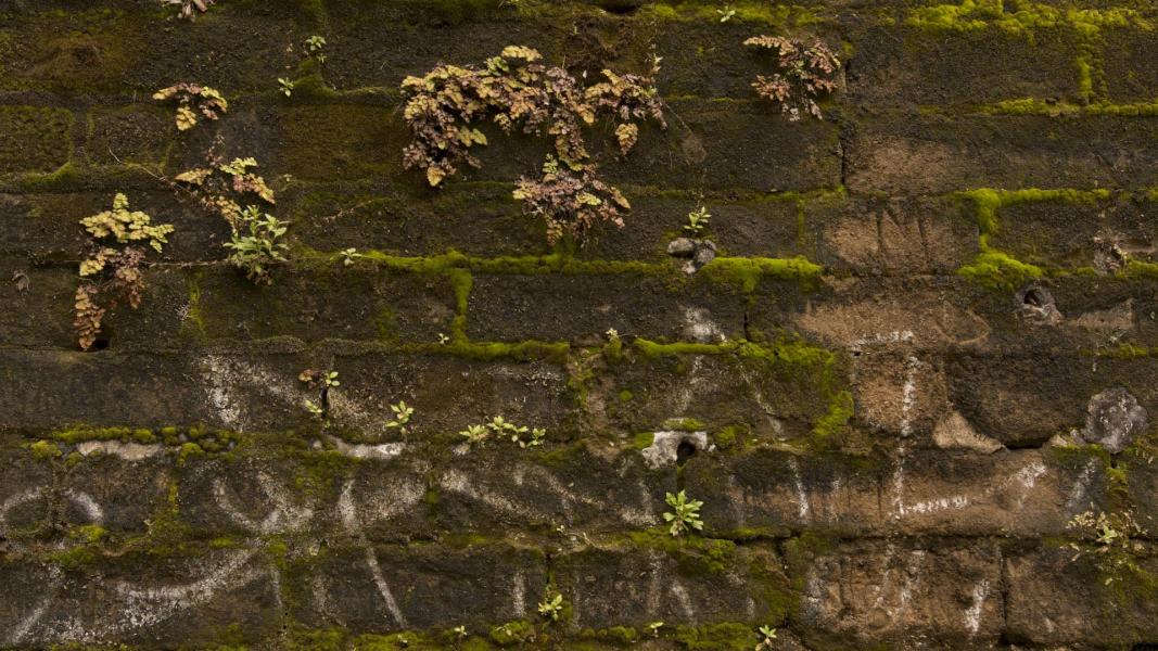 Imagen del monumento Fuerte San Carlos y polvorín