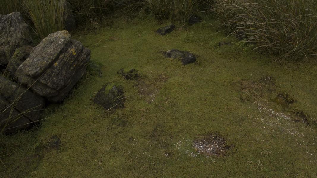 Imagen del monumento Corrales de Pesca y Conchales Arqueológicos ubicados en la Isla Chala