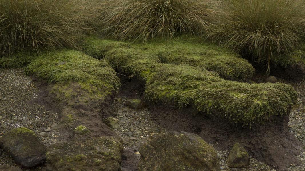 Imagen del monumento Corrales de Pesca y Conchales Arqueológicos ubicados en la Isla Chala
