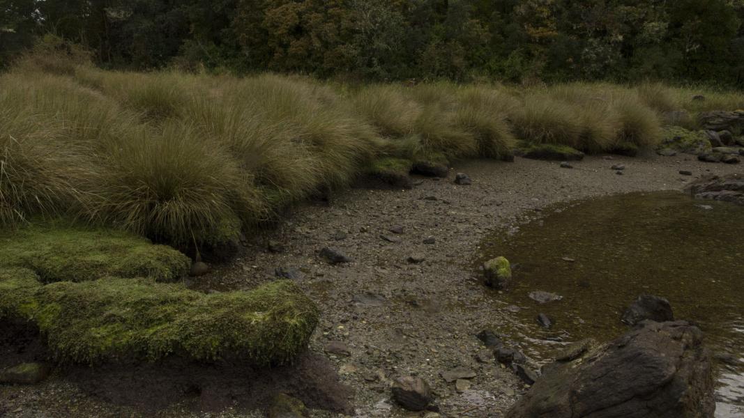 Imagen del monumento Corrales de Pesca y Conchales Arqueológicos ubicados en la Isla Chala