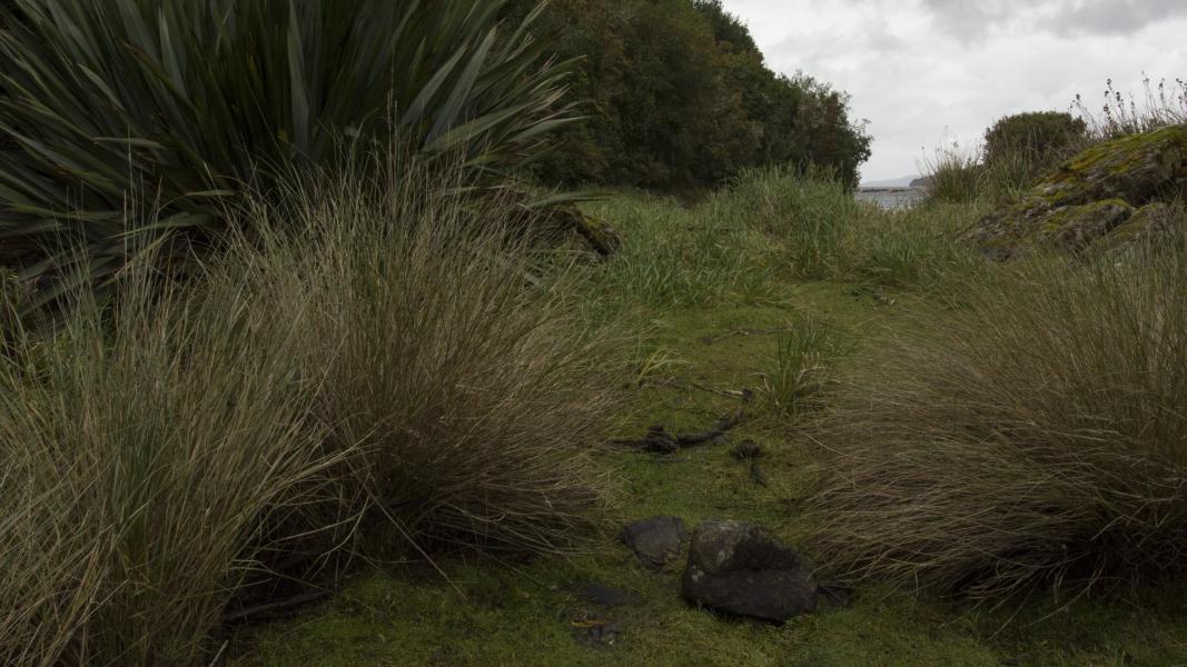 Imagen del monumento Corrales de Pesca y Conchales Arqueológicos ubicados en la Isla Chala