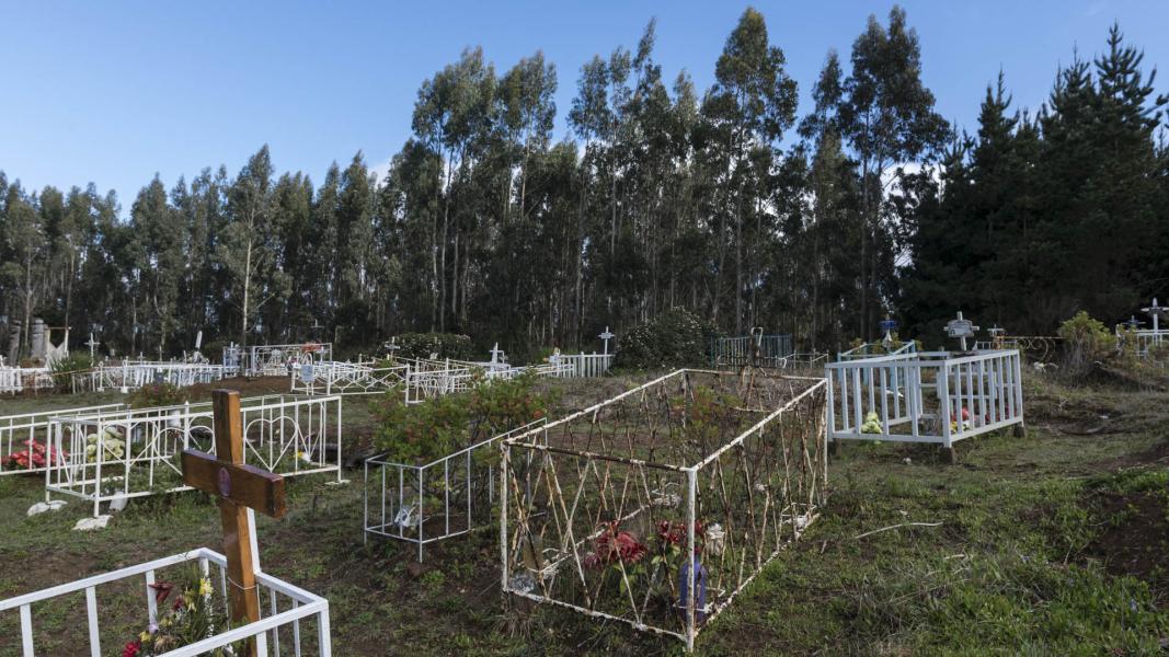 Imagen del monumento Eltun o cementerio mapuche ubicado en la localidad de Los Huape