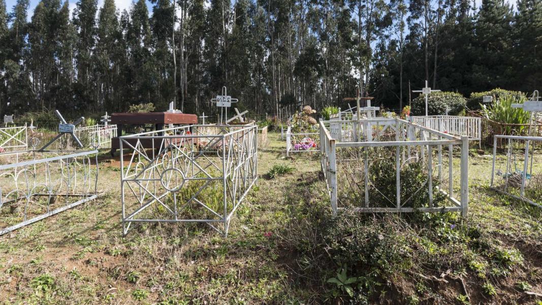 Imagen del monumento Eltun o cementerio mapuche ubicado en la localidad de Los Huape
