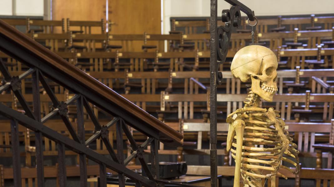 Imagen del monumento Anfiteatro del Instituto de Anatomía