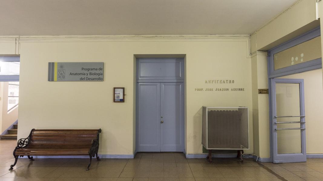 Imagen del monumento Anfiteatro del Instituto de Anatomía