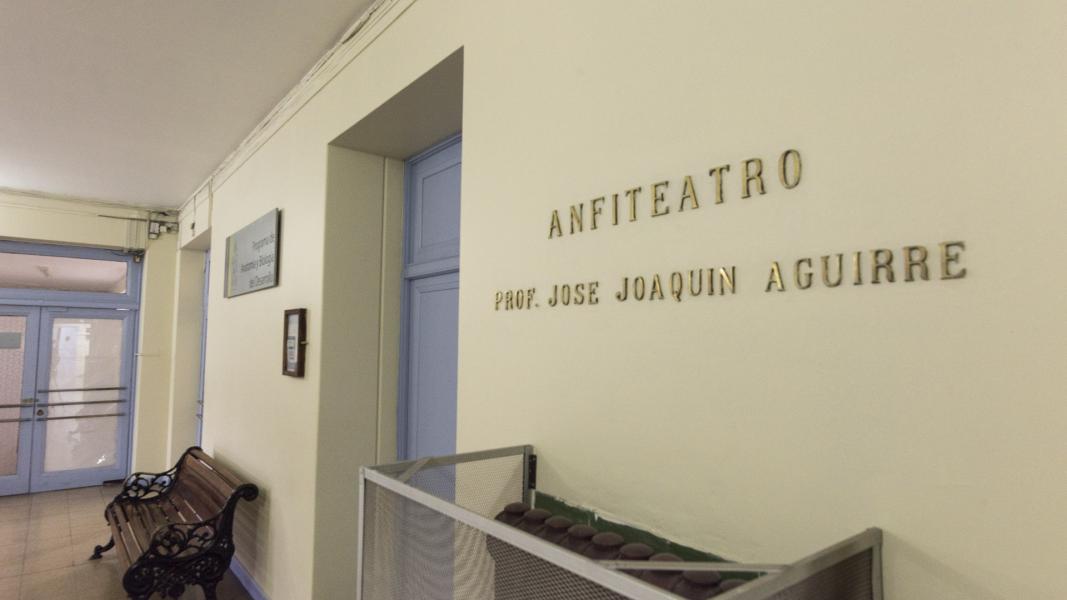 Imagen del monumento Anfiteatro del Instituto de Anatomía