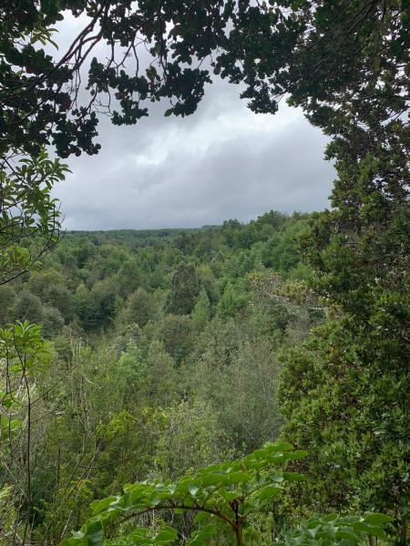 Imagen del monumento Parque Katalapi