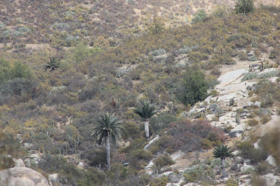 Imagen del monumento Sitio denominado Monte Aranda