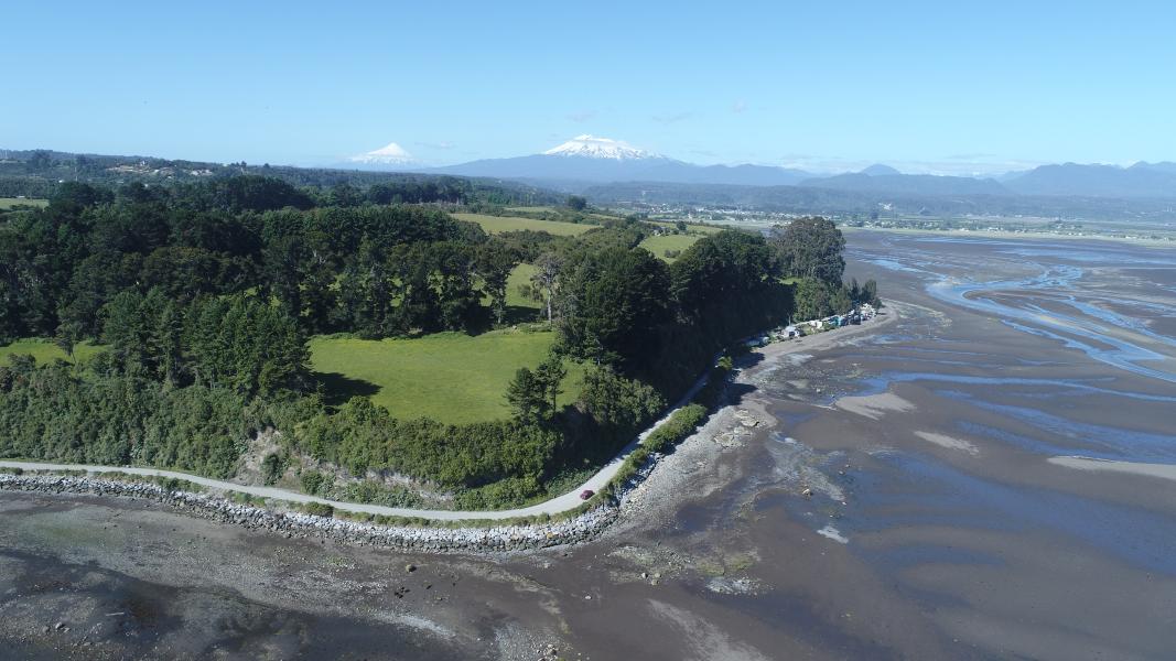 Imagen del monumento Bosque Fósil de Punta Pelluco