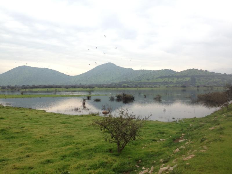 Imagen del monumento Quebrada de la Plata