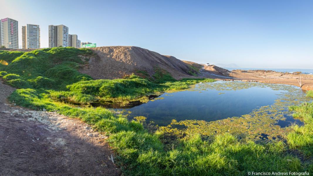 Imagen del monumento SN