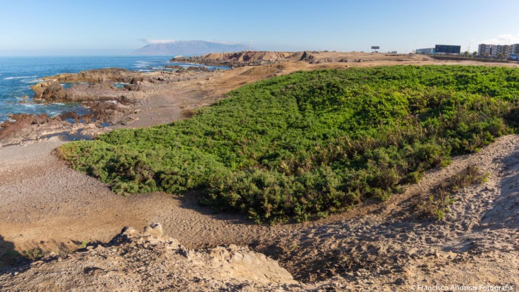 Imagen del monumento SN