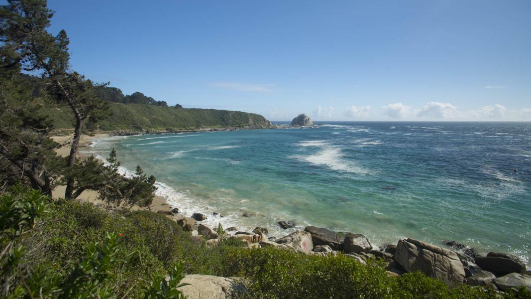 Imagen del monumento Sector Canelo - Canelillo