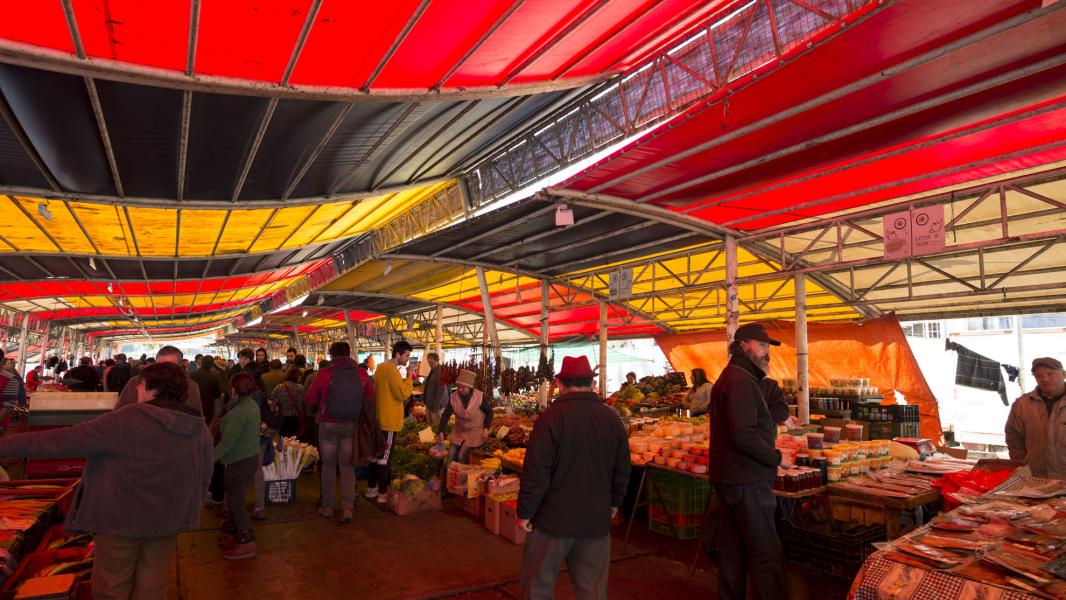 Imagen del monumento Feria fluvial de Valdivia y su entorno