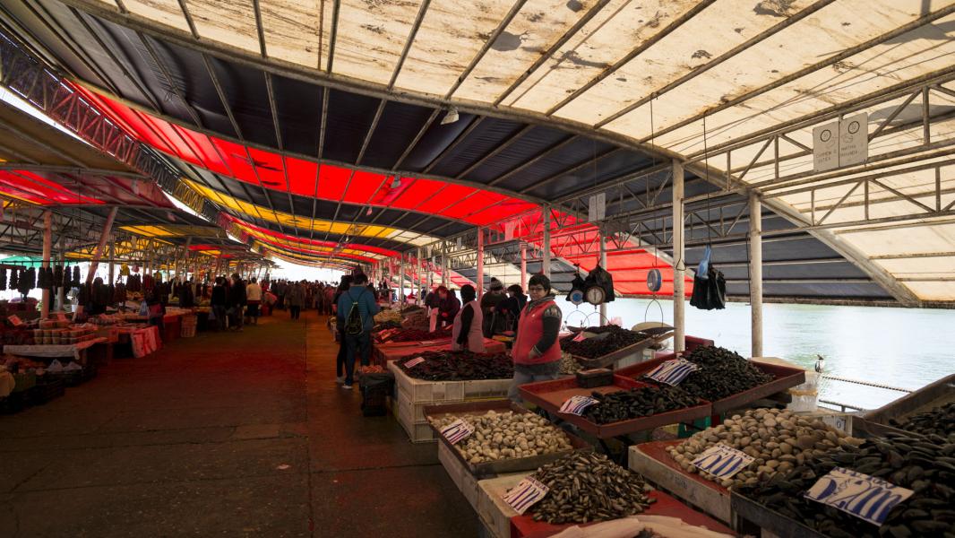 Imagen del monumento Feria fluvial de Valdivia y su entorno