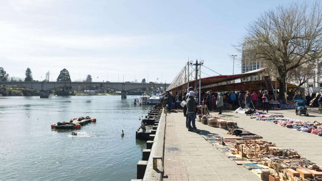Imagen del monumento Feria fluvial de Valdivia y su entorno