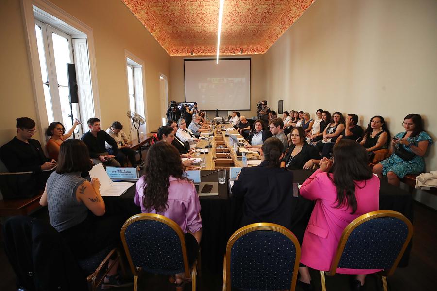 Imagen de Consejo de Monumentos Nacionales aprueba seis declaratorias de Monumentos Históricos vinculadas a la memoria e historia de mujeres