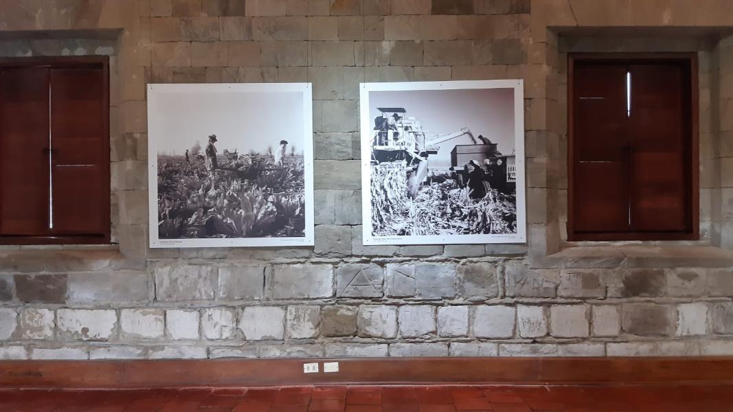 Imagen de  Obra del investigador suizo Roberto Montandon: Exposición fotográfica: El Pasado Presente