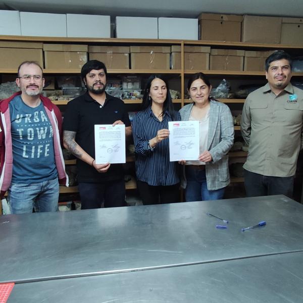 Imagen de Más de 5.800 fósiles de Formación Bahía Inglesa retornan a Caldera