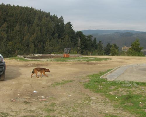 Imagen del monumento Fuerte de Colcura