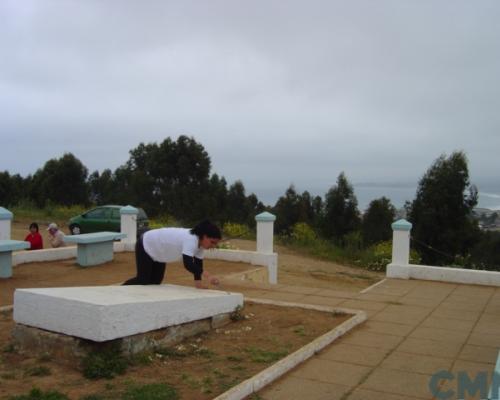 Imagen del monumento Tumba de Vicente Huidobro