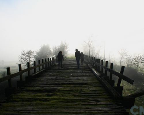 Imagen del monumento Puente viejo sobre el Río Itata