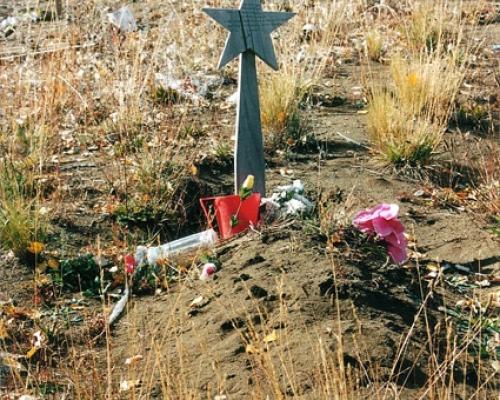 Imagen del monumento Complejo religioso y ceremonial indígena mapuche de Mitrauquén Alto, Eltuwe (cementerio) y Ngüillatuwe