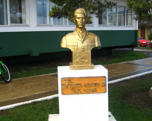 Imagen del monumento Hernán Merino Correa