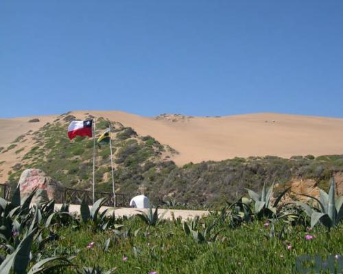 Imagen del monumento Campo Dunar de La Punta de Concón
