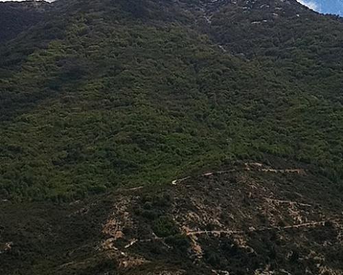 Imagen del monumento Sector del cerro El Roble