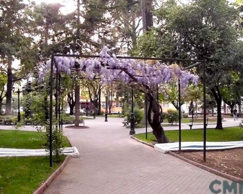 Imagen del monumento Plaza de Armas de Curicó con todos los edificios que la circundan